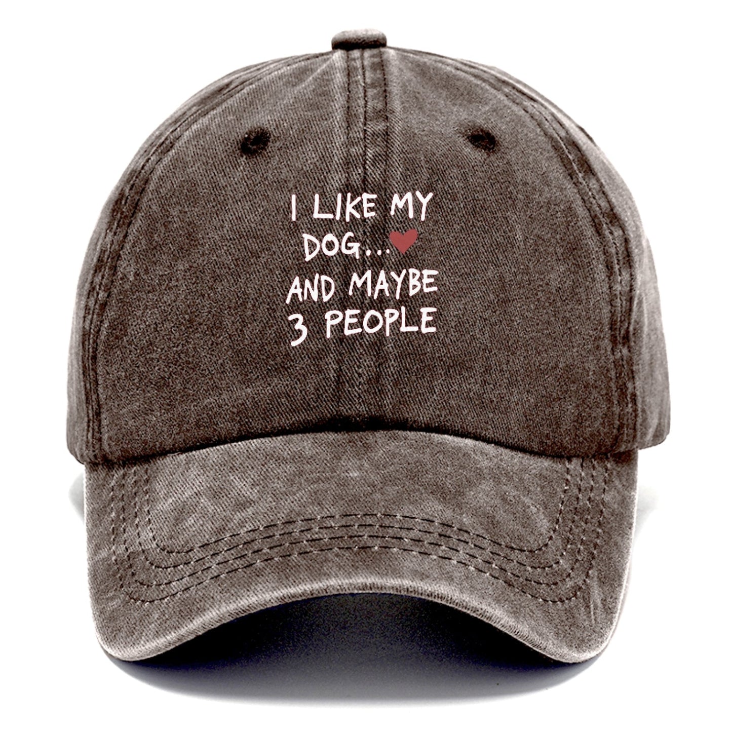 I Like My Dog And Maybe 3 People Classic Cap