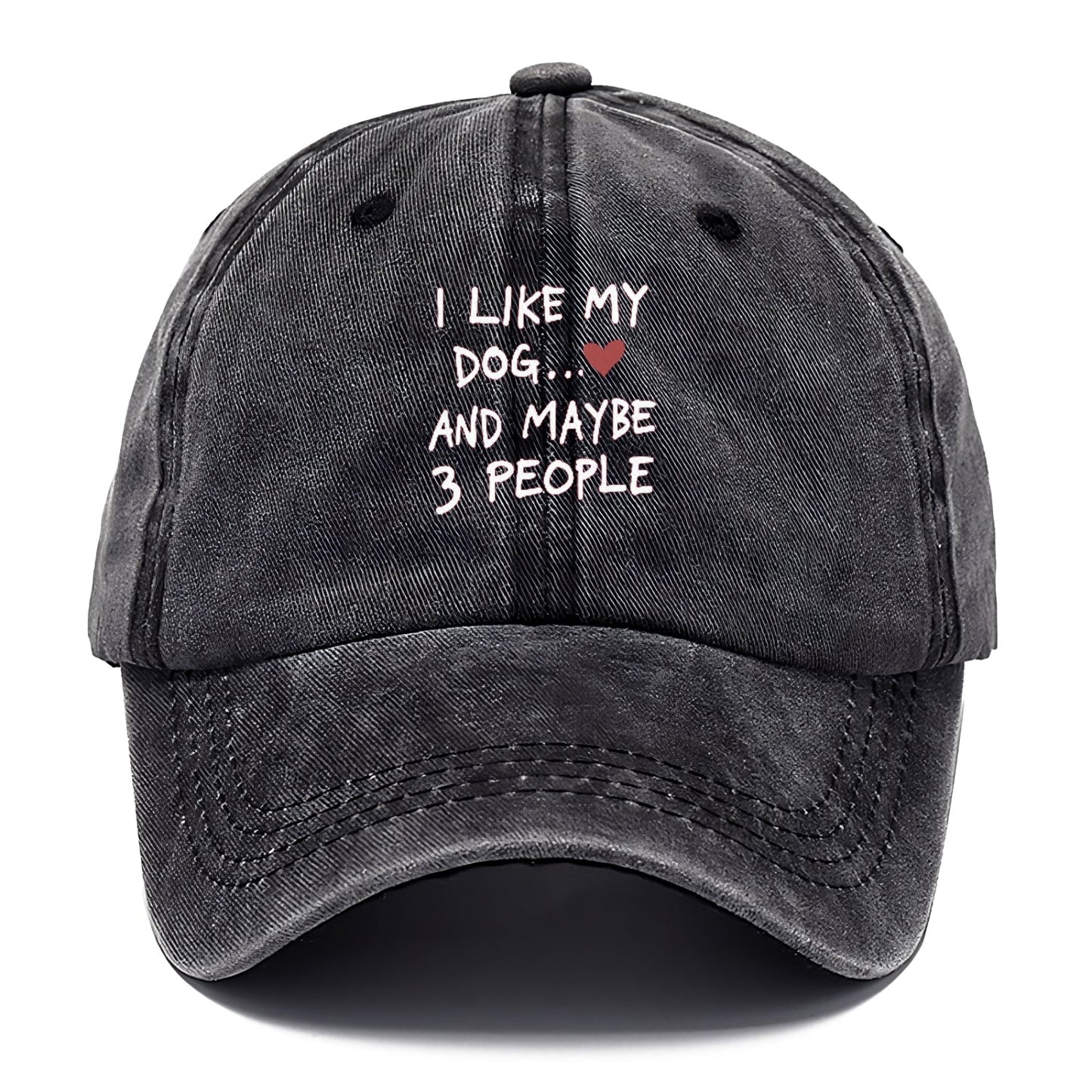 I Like My Dog And Maybe 3 People Classic Cap